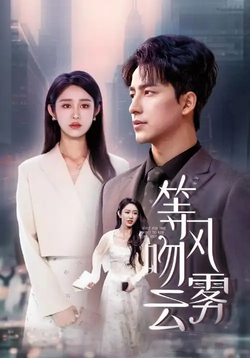 南来北往 年代剧
